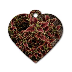 Plant Colorful Red Garden Leaves Dog Tag Heart (one Side) by Simbadda