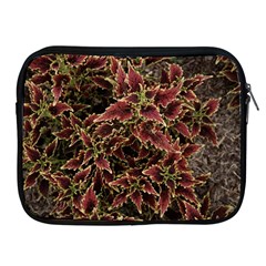 Plant Colorful Red Garden Leaves Apple Ipad 2/3/4 Zipper Cases by Simbadda