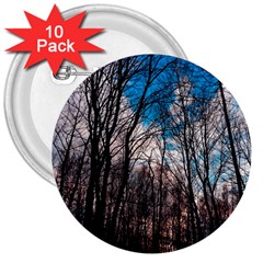 Winter Tree Park Sky Nature 3  Buttons (10 Pack)  by Simbadda