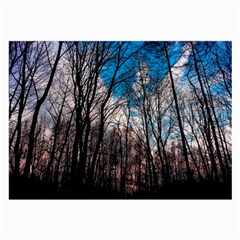 Winter Tree Park Sky Nature Large Glasses Cloth by Simbadda