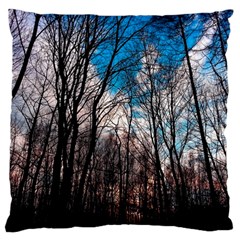 Winter Tree Park Sky Nature Large Flano Cushion Case (one Side) by Simbadda