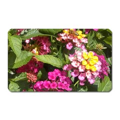 Summer Lantana W Bee Magnet (rectangular) by Riverwoman