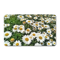 Columbus Commons Shasta Daisies Magnet (rectangular) by Riverwoman