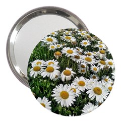 Columbus Commons Shasta Daisies 3  Handbag Mirrors by Riverwoman