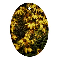 Echinacea paradoxa Ornament (Oval)