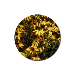 Echinacea paradoxa Rubber Round Coaster (4 pack) 