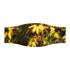 Echinacea paradoxa Stretchable Headband