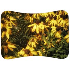 Echinacea paradoxa Velour Seat Head Rest Cushion