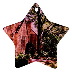 Hot Day In  Dallas 6 Star Ornament (two Sides) by bestdesignintheworld