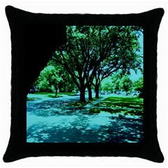 Hot Day In Dallas 5 Throw Pillow Case (black) by bestdesignintheworld