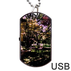 Hot Day In Dallas 3 Dog Tag Usb Flash (two Sides) by bestdesignintheworld
