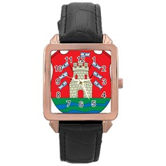 Flag Of Argentine Cordoba Province Rose Gold Leather Watch  by abbeyz71