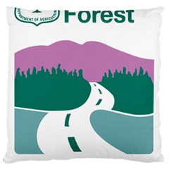 National Forest Scenic Byway Highway Marker Large Cushion Case (two Sides) by abbeyz71