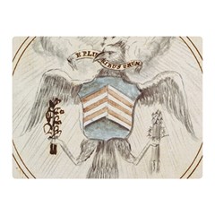 Great Seal of the United States Drawing, 1782 Double Sided Flano Blanket (Mini) 