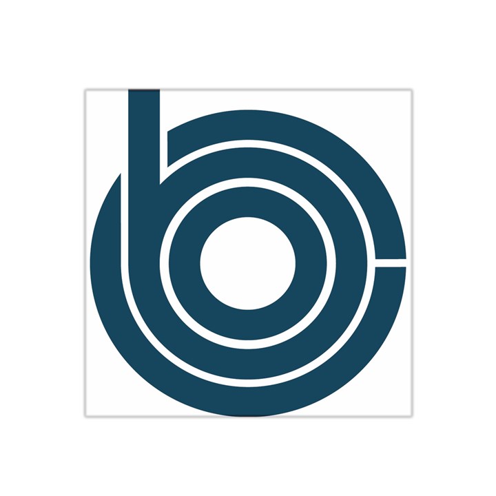 Logo of Congressional Budget Office Satin Bandana Scarf