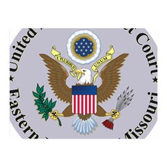 Seal Of United States District Court For Eastern District Of Missouri Double Sided Flano Blanket (mini)  by abbeyz71