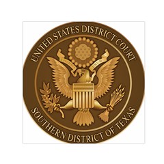 Seal Of United States District Court For Southern District Of Texas Small Satin Scarf (square) by abbeyz71