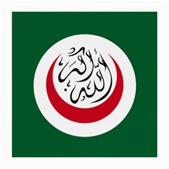 Flag Of The Organization Of Islamic Cooperation, 1981-2011 Medium Glasses Cloth (2 Sides) by abbeyz71