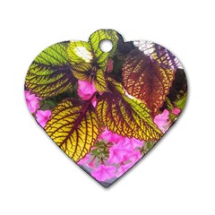 Coleus & Petunia Dog Tag Heart (two Sides) by Riverwoman