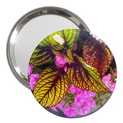 Coleus & Petunia 3  Handbag Mirrors by Riverwoman