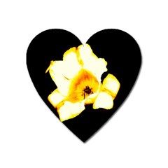 Yellow And Orange Tulip Heart Magnet by okhismakingart