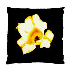 Yellow And Orange Tulip Standard Cushion Case (two Sides)