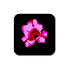 Pink And Red Tulip Rubber Coaster (square)  by okhismakingart