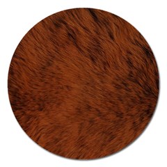 Fur Skin Bear Magnet 5  (round) by HermanTelo