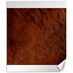 Fur Skin Bear Canvas 8  x 10  8.15 x9.66  Canvas - 1