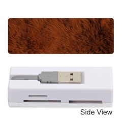 Fur Skin Bear Memory Card Reader (stick) by HermanTelo