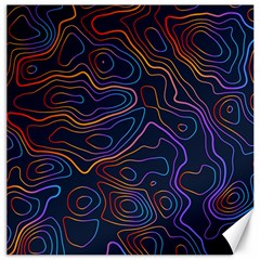 Topographic Colorful Contour Illustration Background Canvas 20  X 20  by Vaneshart