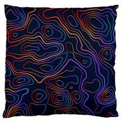 Topographic Colorful Contour Illustration Background Large Flano Cushion Case (one Side) by Vaneshart