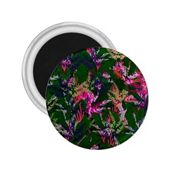 Vibrant Tropical 2 25  Magnets by Vaneshart