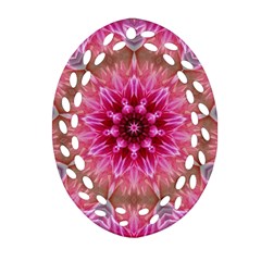 Flower Mandala Art Pink Abstract Ornament (oval Filigree)