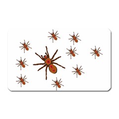 Insect Spider Wildlife Magnet (rectangular)