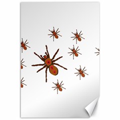 Insect Spider Wildlife Canvas 12  X 18 