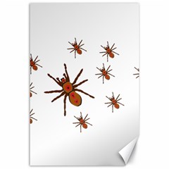 Insect Spider Wildlife Canvas 24  X 36 