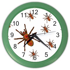 Insect Spider Wildlife Color Wall Clock