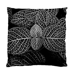 Black And White Plant Leaf Flower Pattern Line Black Monochrome Material Circle Spider Web Design Standard Cushion Case (one Side) by Vaneshart