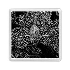 Black And White Plant Leaf Flower Pattern Line Black Monochrome Material Circle Spider Web Design Memory Card Reader (square) by Vaneshart