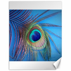 Nature Bird Wing Texture Animal Male Wildlife Decoration Pattern Line Green Color Blue Colorful Canvas 12  X 16  by Vaneshart