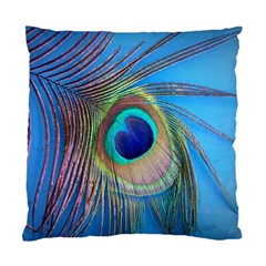 Nature Bird Wing Texture Animal Male Wildlife Decoration Pattern Line Green Color Blue Colorful Standard Cushion Case (two Sides) by Vaneshart