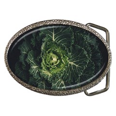 Plant Leaf Flower Green Produce Vegetable Botany Flora Cabbage Macro Photography Flowering Plant Belt Buckles by Vaneshart