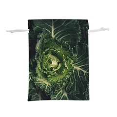 Plant Leaf Flower Green Produce Vegetable Botany Flora Cabbage Macro Photography Flowering Plant Lightweight Drawstring Pouch (s)