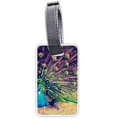 Bird Biology Fauna Material Chile Peacock Plumage Feathers Symmetry Vertebrate Peafowl Luggage Tag (one Side) by Vaneshart