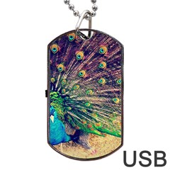 Bird Biology Fauna Material Chile Peacock Plumage Feathers Symmetry Vertebrate Peafowl Dog Tag Usb Flash (two Sides) by Vaneshart