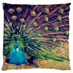 Bird Biology Fauna Material Chile Peacock Plumage Feathers Symmetry Vertebrate Peafowl Large Cushion Case (two Sides)