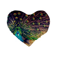 Bird Biology Fauna Material Chile Peacock Plumage Feathers Symmetry Vertebrate Peafowl Standard 16  Premium Flano Heart Shape Cushions