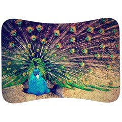 Bird Biology Fauna Material Chile Peacock Plumage Feathers Symmetry Vertebrate Peafowl Velour Seat Head Rest Cushion by Vaneshart