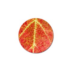 Plant Vineyard Wine Sunlight Texture Leaf Pattern Green Red Color Macro Autumn Circle Vein Sunny  Golf Ball Marker by Vaneshart